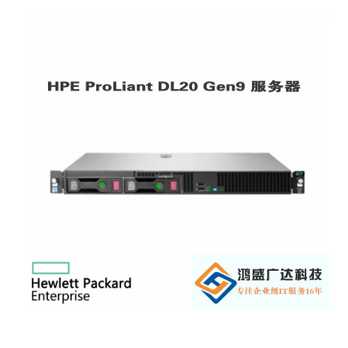 HPE ProLiant DL20 Gen9 服务器